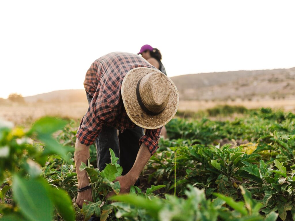 Farmers