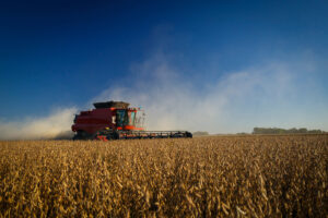 A combine harvester at work harvesting a soybean field.